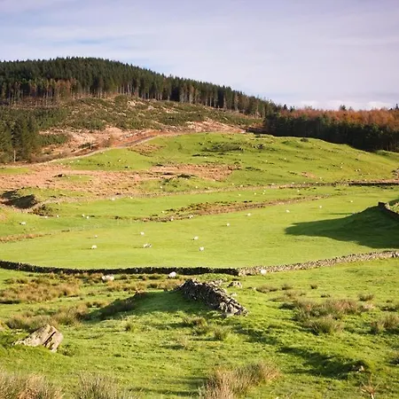 Tall Trees Bowness-on-Windermere